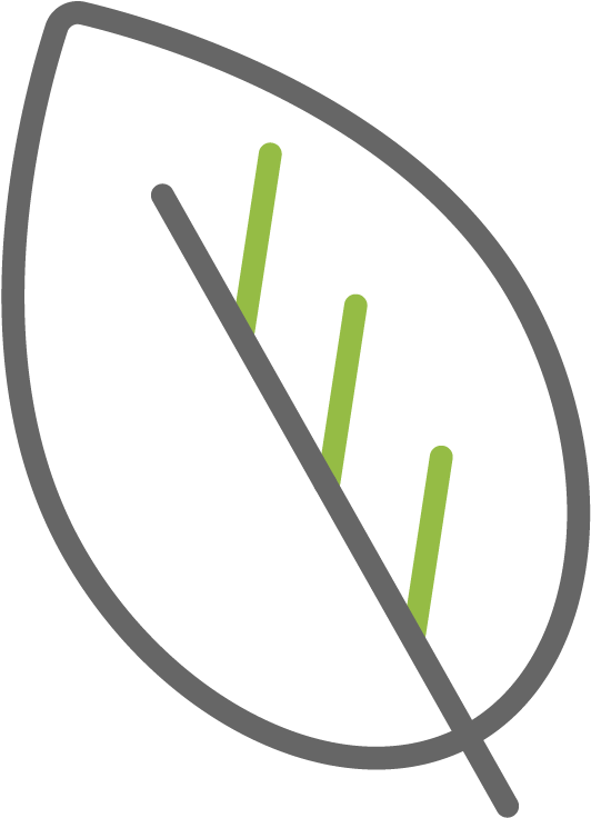 Green - Circle (835x801), Png Download