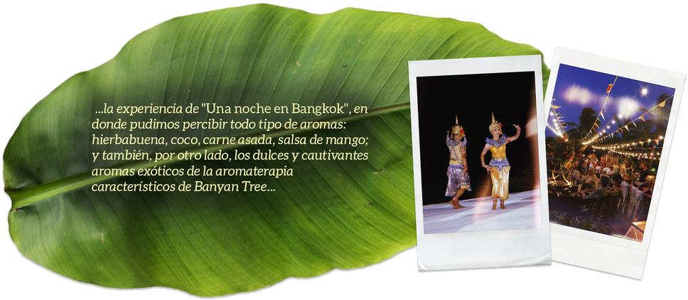 Thai Food Festival By Banyan Tree Cabo Marqués - Picture Frame (1024x473), Png Download
