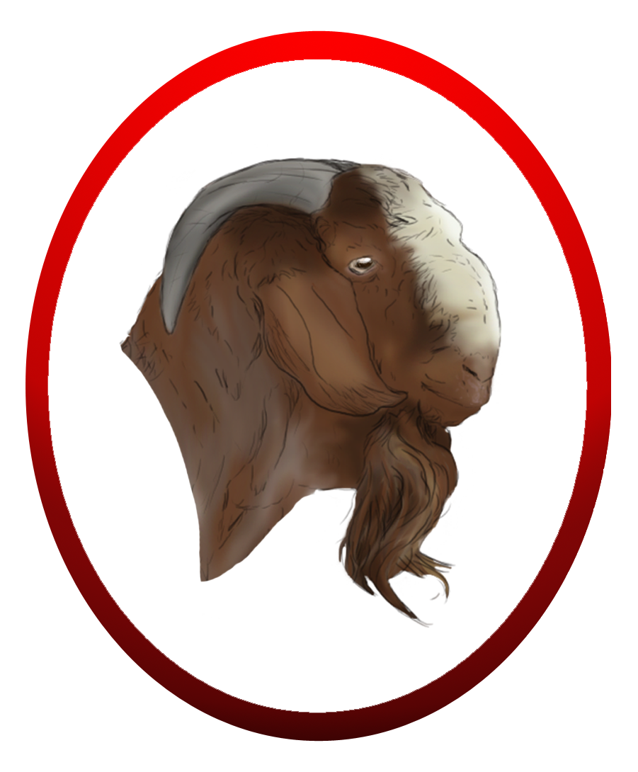 Boer Goat Logo - Boer Goat Head Png (901x1090), Png Download