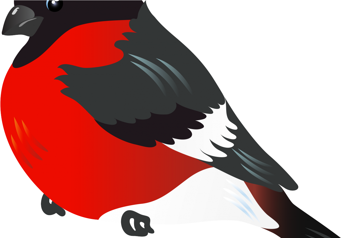 Red Bird Clipart Free (1440x900), Png Download