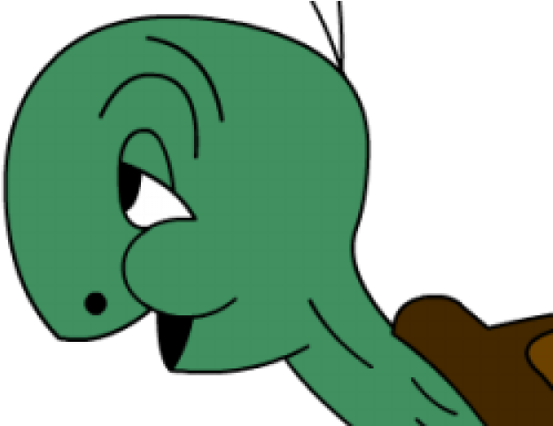 Picture Of Cartoon Turtle - Turtle With Glasses Looney Tunes (640x480), Png Download