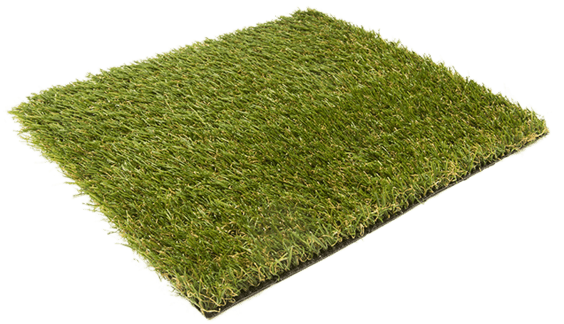 Fame 25mm - Lawn (800x505), Png Download