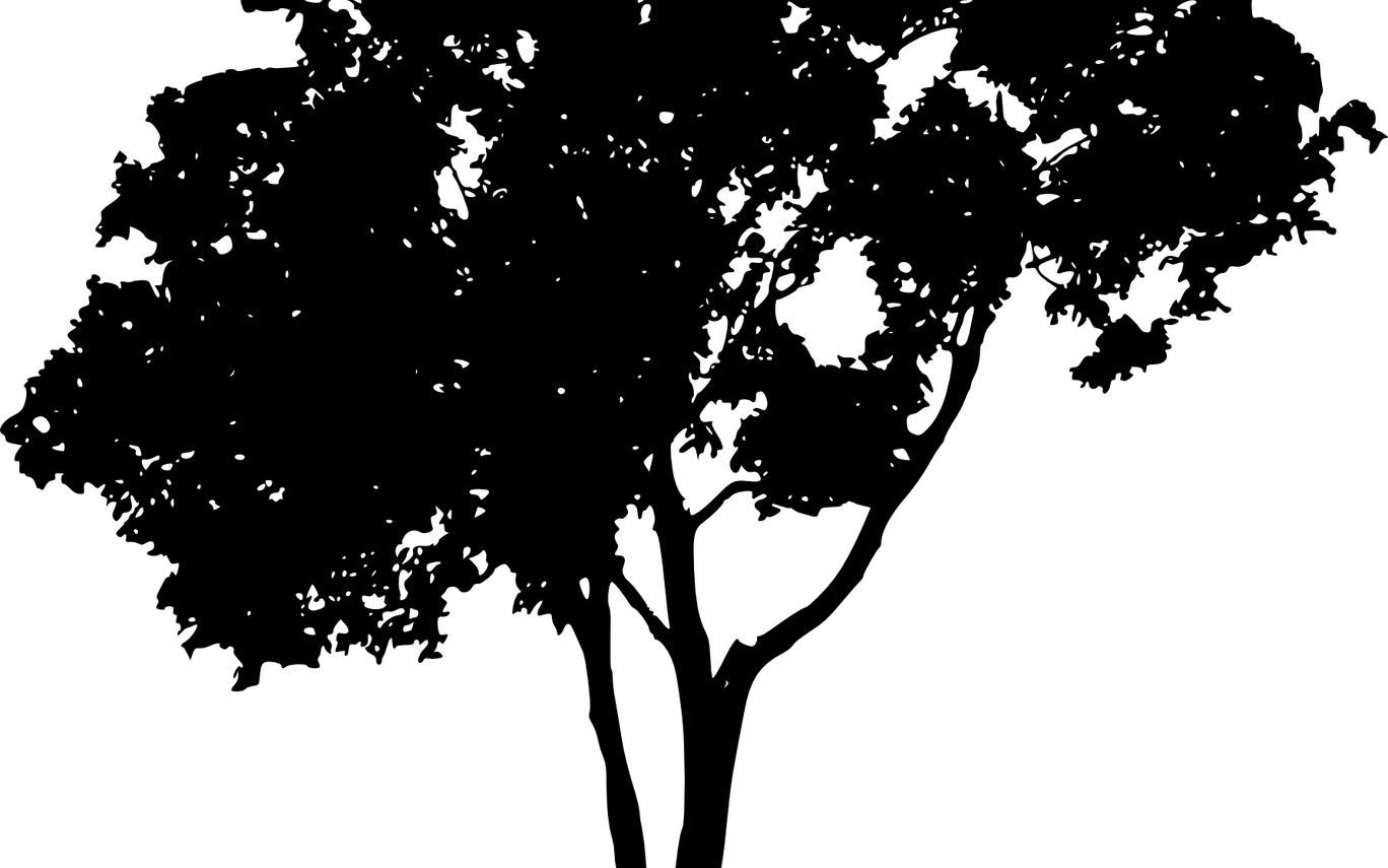 15 3 Vector Tree Silhouette For Free Download On Mbtskoudsalg - Tree Vector Silhouette Free (1368x855), Png Download