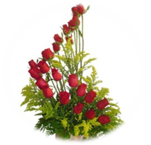 Arreglo De 24 Rosas Rojas - Arreglos Florales De Rosas Rojas Png (516x495), Png Download