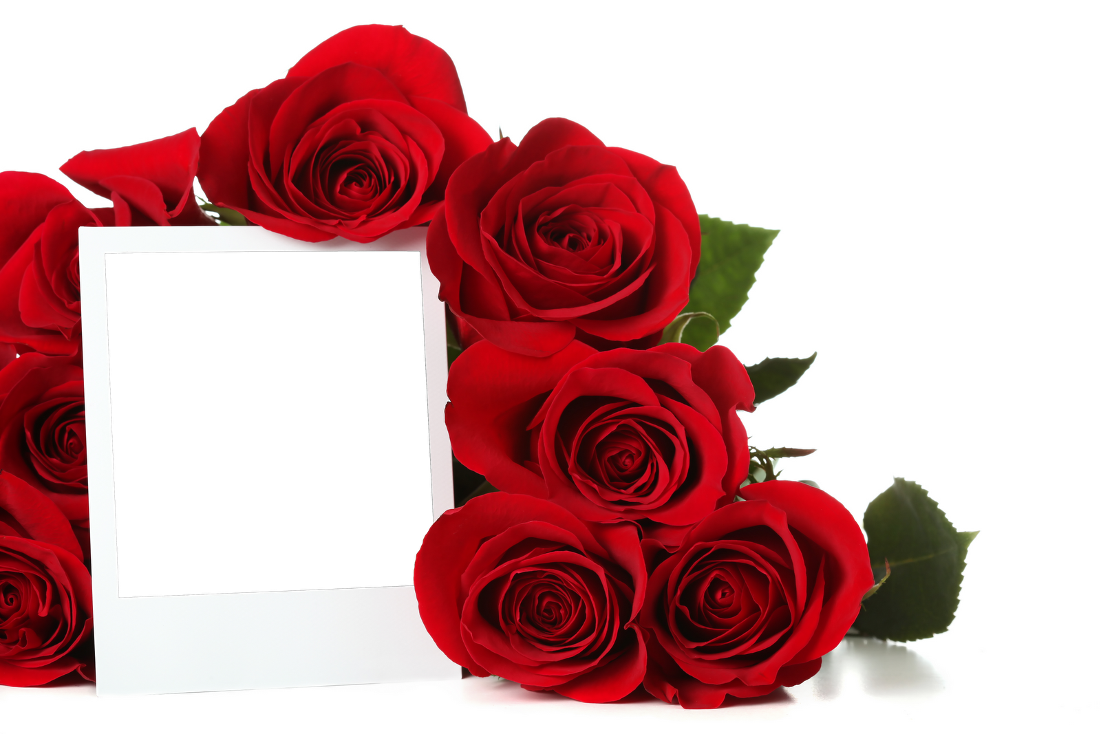 Marcos Gratis Para Fotos - Alhamdulillah Flowers Red (1600x1067), Png Download