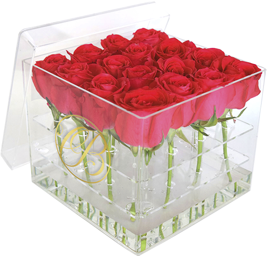 Caja De Acrílico Rosas Rojas - Caja Con Rosa Acrilica (600x600), Png Download