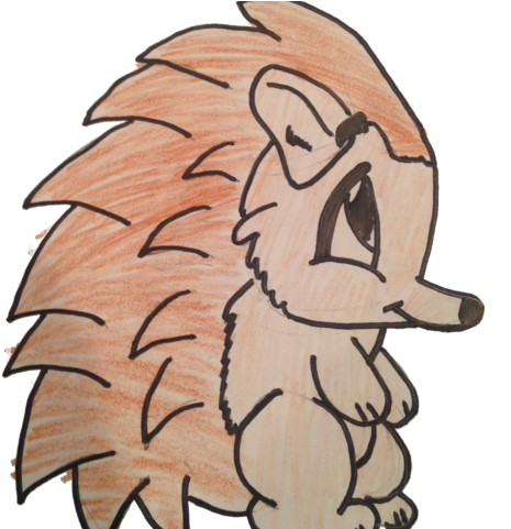 Hedgehog - Cartoon - Cartoon (480x480), Png Download