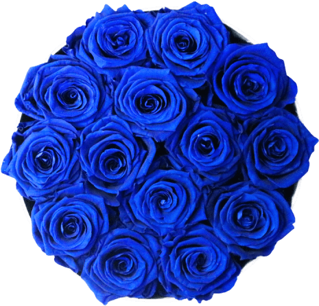 Rosas En Cajas Elegantes - Rose (500x500), Png Download