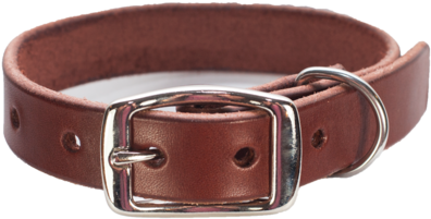 Dog Collar Png (500x500), Png Download