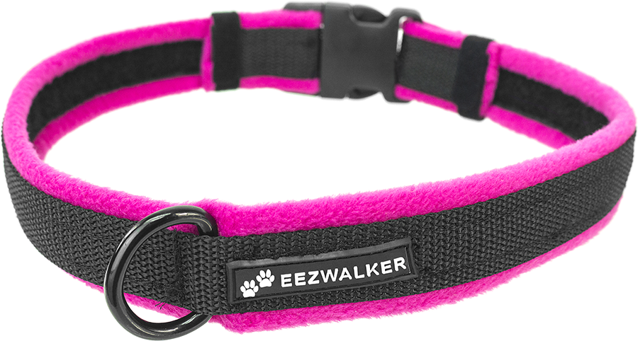Dog Collar Transparent Image - Dog Collar Png (900x482), Png Download