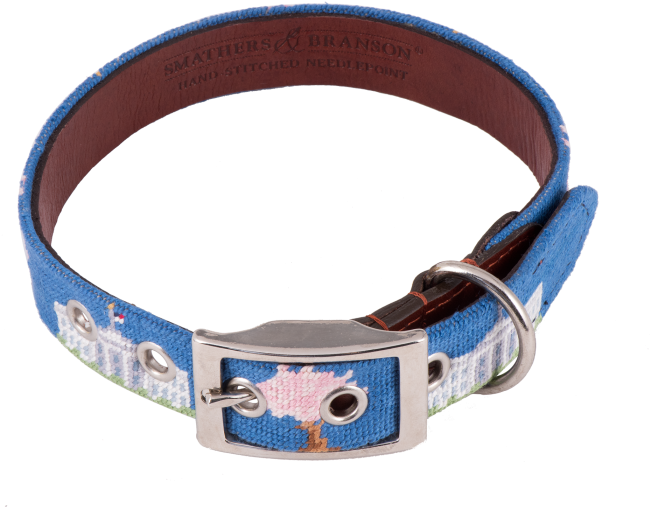 More Views - Dog Collar (700x700), Png Download