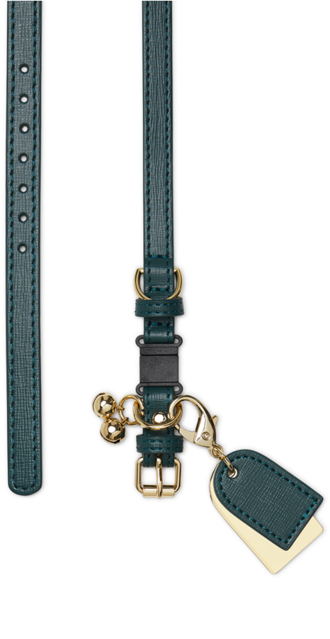 Green - Grey Green - Grey - Green Grey (900x900), Png Download