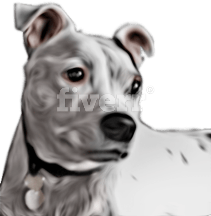 Great Dane (717x787), Png Download