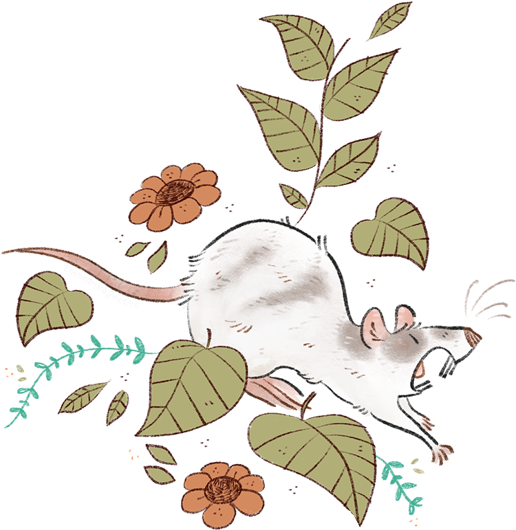 Rattie Pattern For Pets Page Moo (788x837), Png Download
