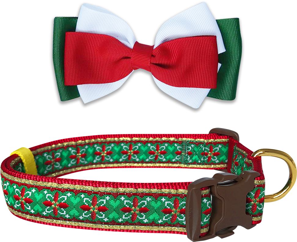 Dog Collar (1000x1000), Png Download