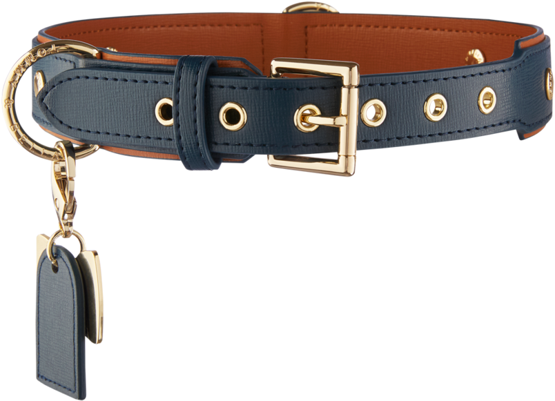 Brown Dog Collar - Dog Collar (900x900), Png Download