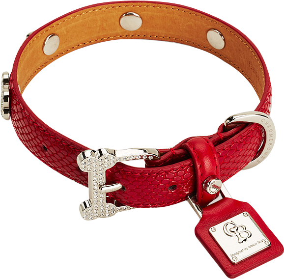 Dog Collars For High-end Luxury And Comfort - Transparent Dog Accessories Png (600x600), Png Download