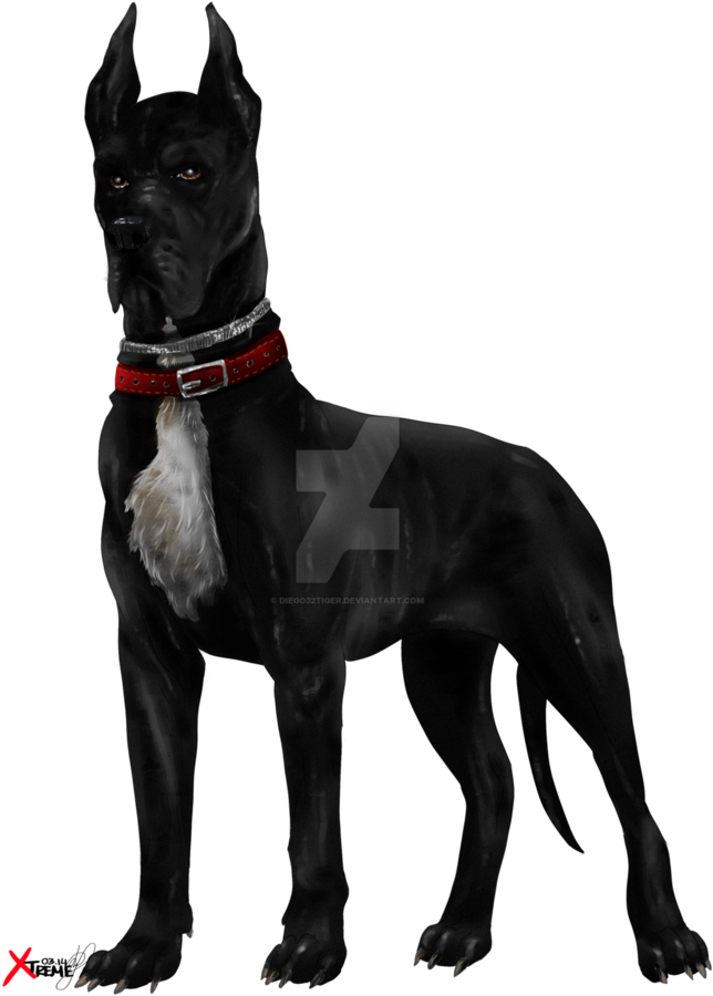 Black Dog By Diego - Transparent Great Dane Png (774x1032), Png Download