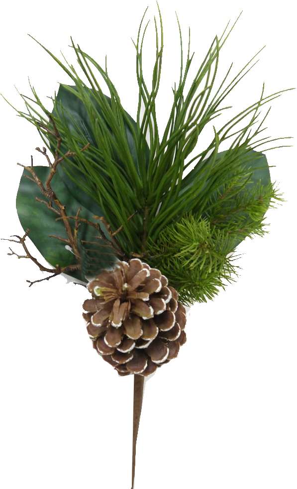 Mixed Evergreen Pick With Pinecones - Grass (606x993), Png Download