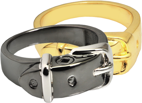 Wholesale Pet Cremation Jewelry Ring- Collar Shown - Pet Cremation Jewelry Ring- Collar (500x500), Png Download