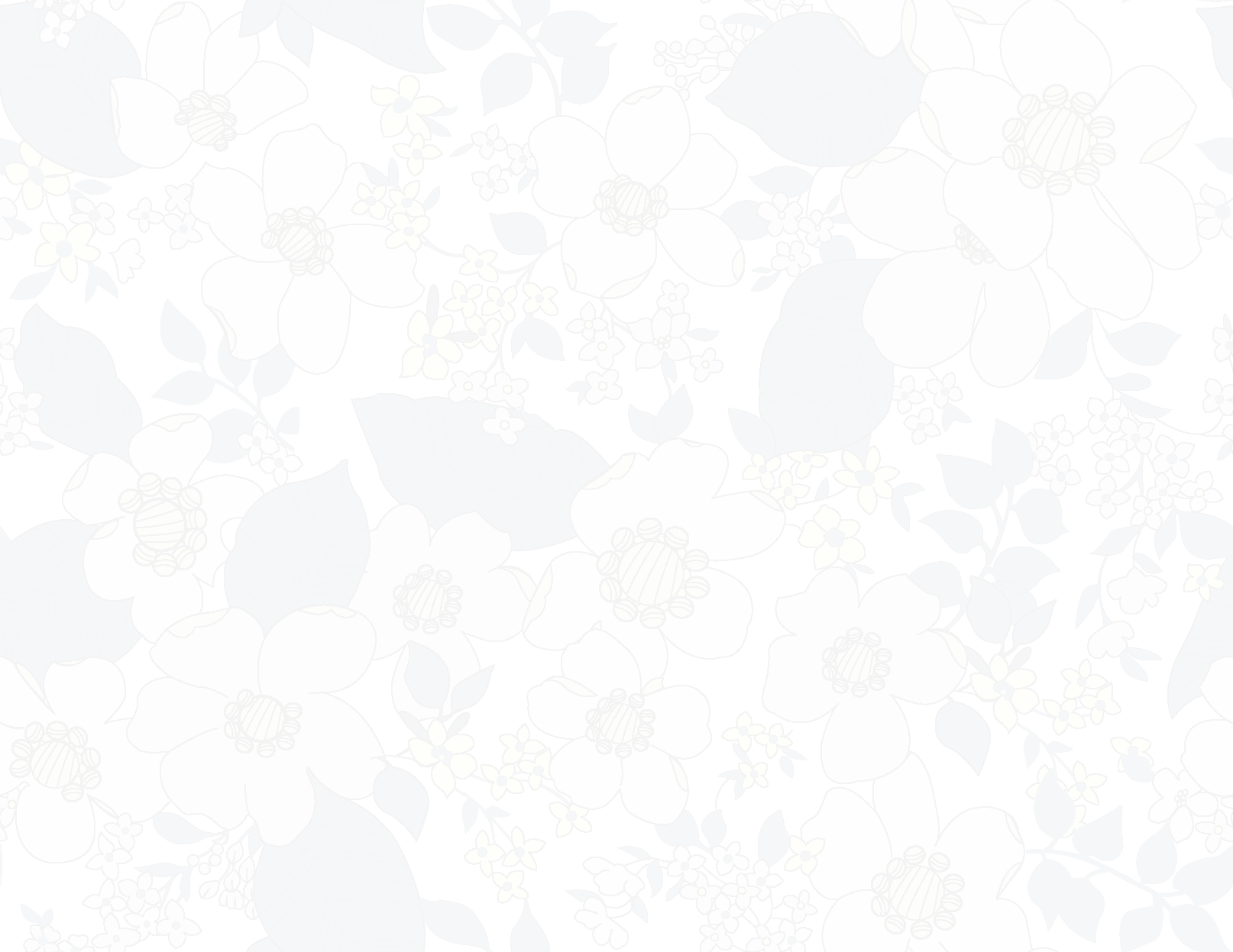 Gift Png - Wallpaper (1614x1247), Png Download