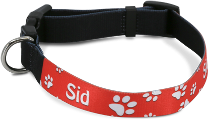 Dog Collar (450x450), Png Download