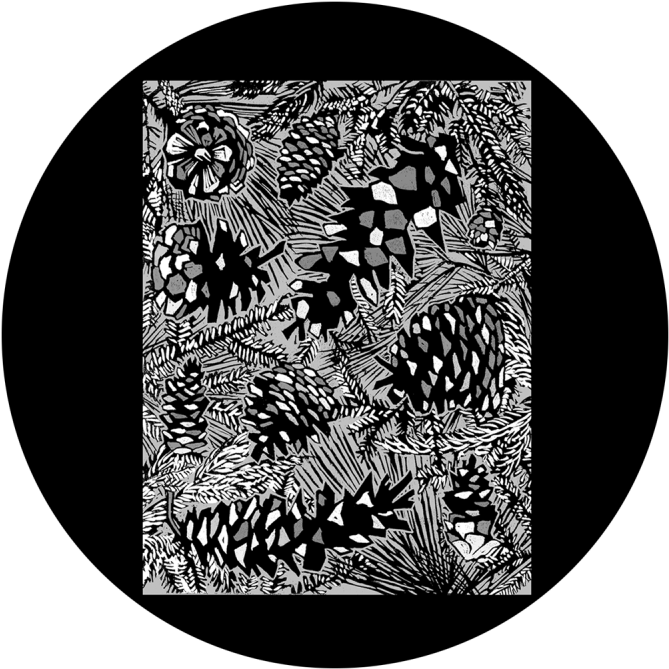 Pine Cones - Beach (800x800), Png Download