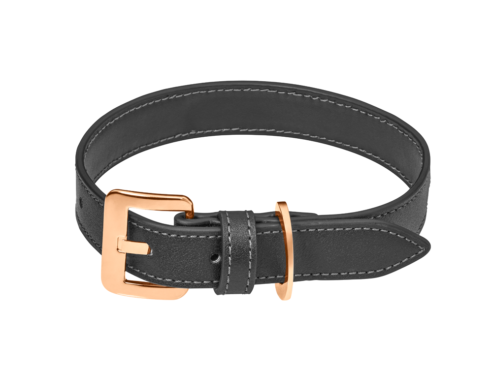 Buckle (1000x1000), Png Download