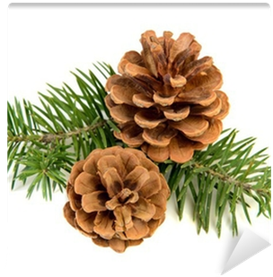 La Nature En Famille, Hiver - Livre (400x400), Png Download