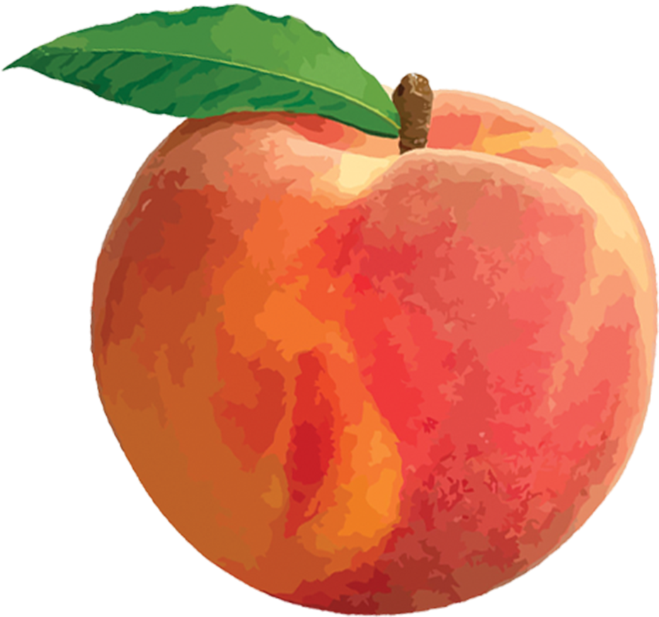 Free Icons Png - Peach Png (1024x1024), Png Download