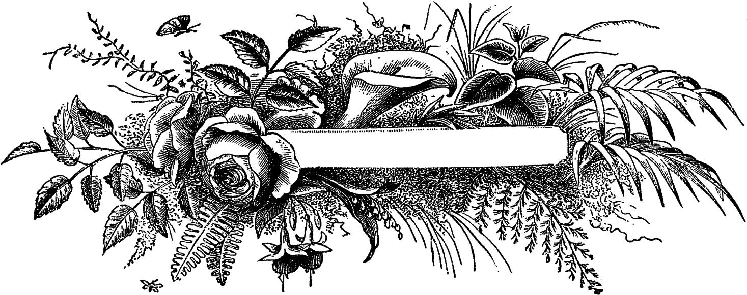 Free Label Banner Png - Illustration (1600x681), Png Download