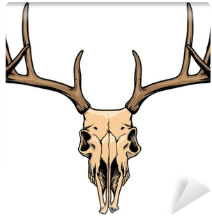 Deer Skull Drawing (400x400), Png Download