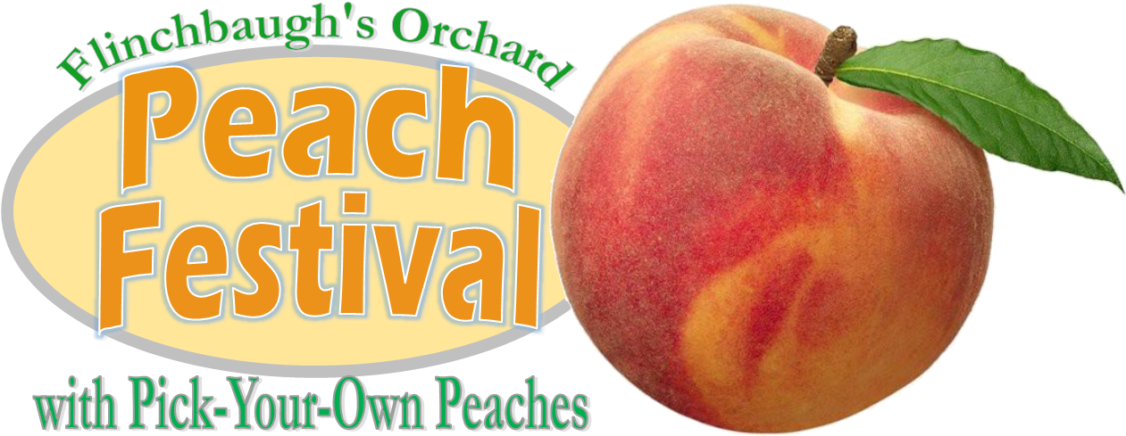 Event Navigation - « - Nectarines (1275x571), Png Download