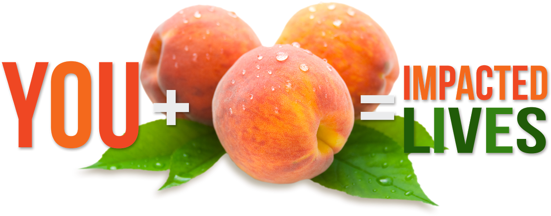 Our Annual Summer Peach Sale - Peachbottompanties Custom Listing For James (1156x578), Png Download