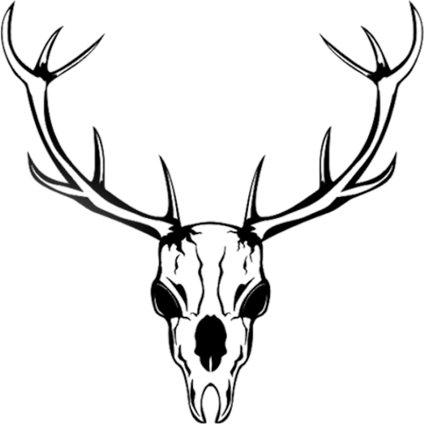 Necromancer Drawing Deer Skull - Wall Window Sticker Decal Deer Scull Elk Animal Horns (900x900), Png Download