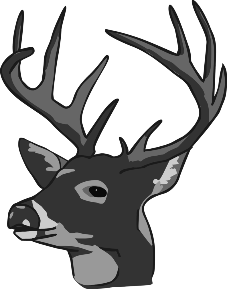 Deer Head Clipart Black And White - Deer Head (793x1007), Png Download