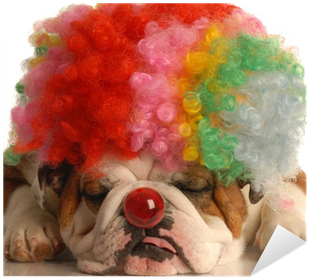 Bulldog With Colorful Clown Wig And Red Nose Sticker - Happy Birthday Dena With Bulldogs (400x400), Png Download