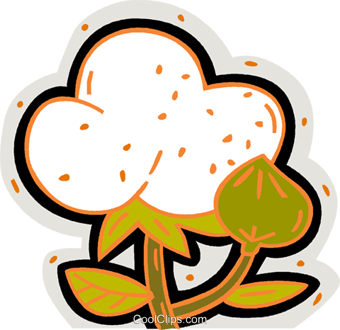 Cotton Plant Royalty Free Vector Clip Art Illustration - Cotton Clipart Transparent (480x466), Png Download