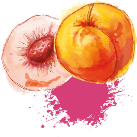 Twitter - Murder On The Opinion Page (445x445), Png Download