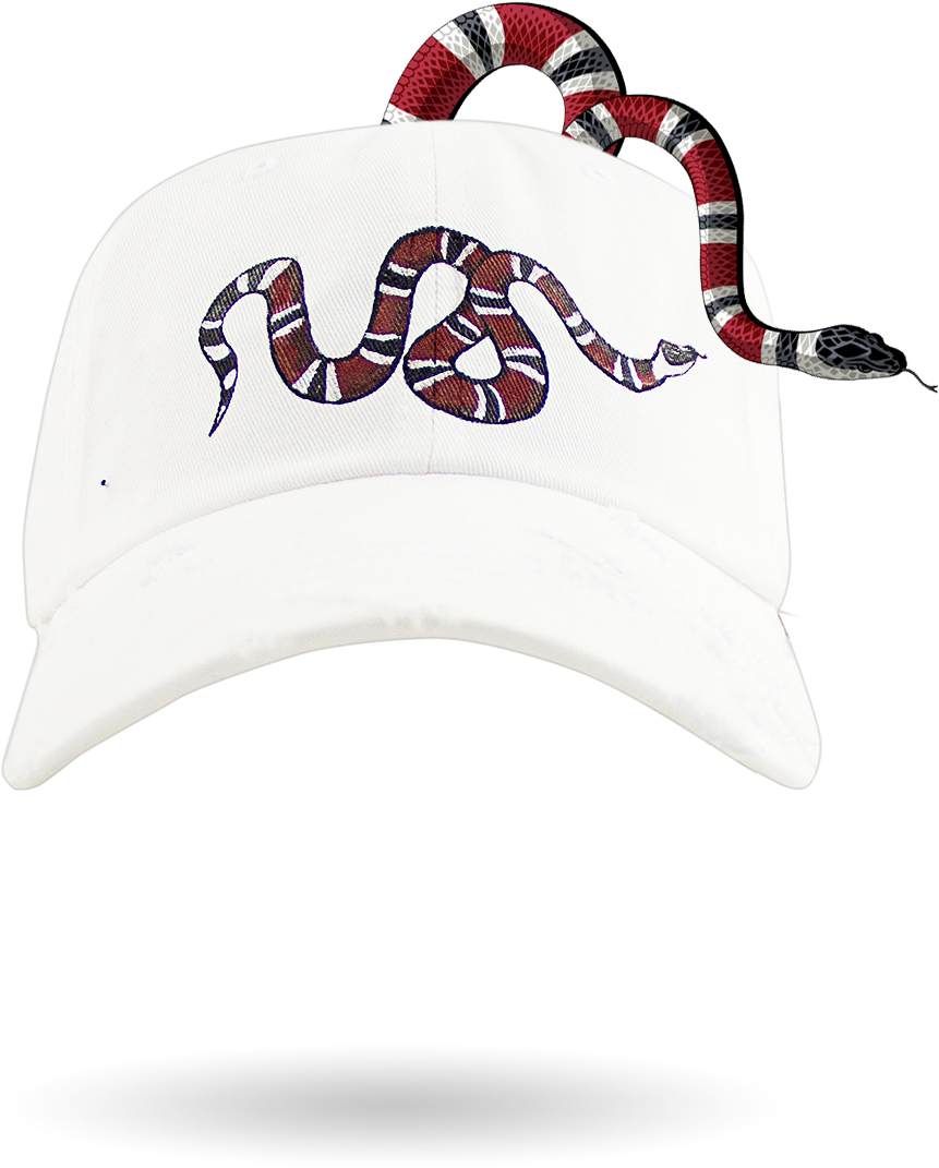 The Snake - Snakes (1456x2205), Png Download