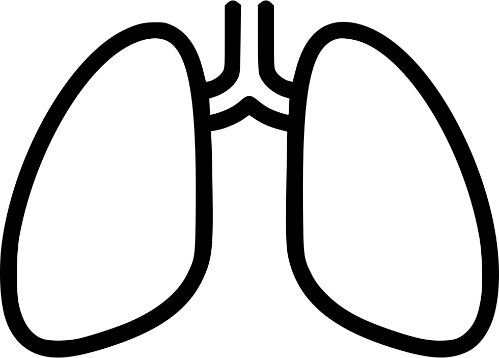 Lungs Breathing Chest X Ray Anatomy Tuberculosis Comments - Lungs Black And White (980x702), Png Download