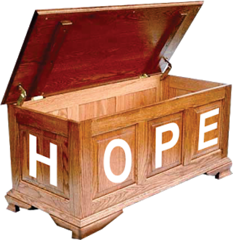 How To Use Familysearch Hope Chest - Wood Chest Plans Free (780x780), Png Download