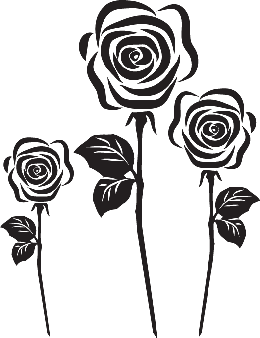 Download The Free Roses Vector - Png На Прозрачном Фоне (1020x680), Png Download