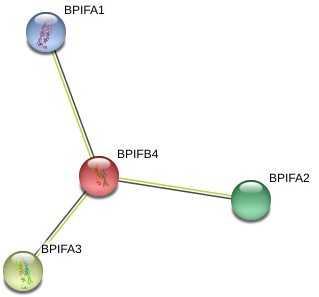 Database (975x334), Png Download