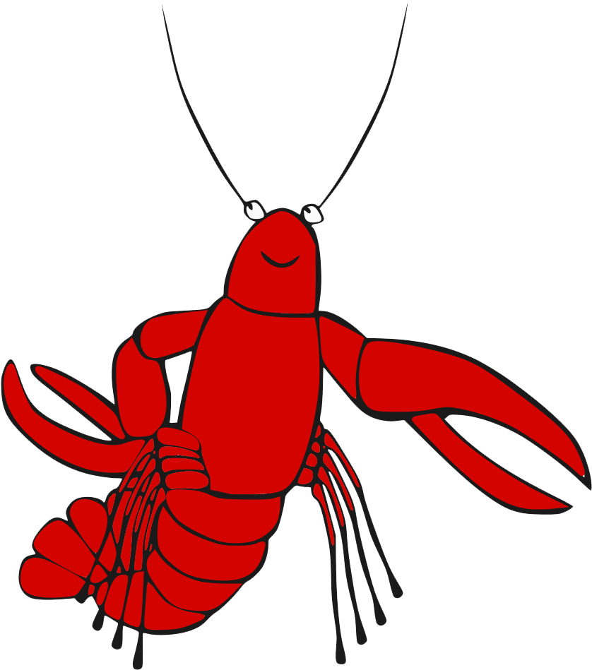 Lobster Transparent Background - Crayfish Clipart (867x1004), Png Download