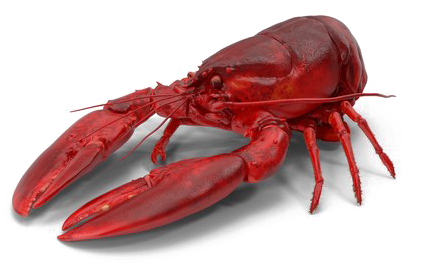 Lobster Png Image With Transparent Background - Lobster Psd (600x600), Png Download
