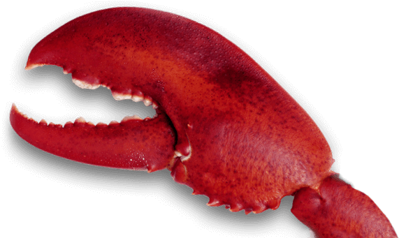 You Don't Need To Be A Mainer To Enjoy Maine Lobster - Lobster Arm Png (640x340), Png Download