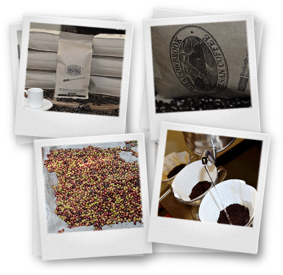 Home 4 Polaroids New - Shadowbrook Restaurant (608x584), Png Download