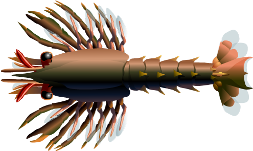 Stage I Lobster, Stage Ii Lobster, Stage Iii Lobster - Lobster Stage 3 (500x317), Png Download