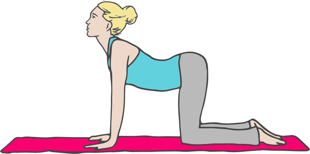 Cow Pose - Cow Pose Clipart (1024x510), Png Download
